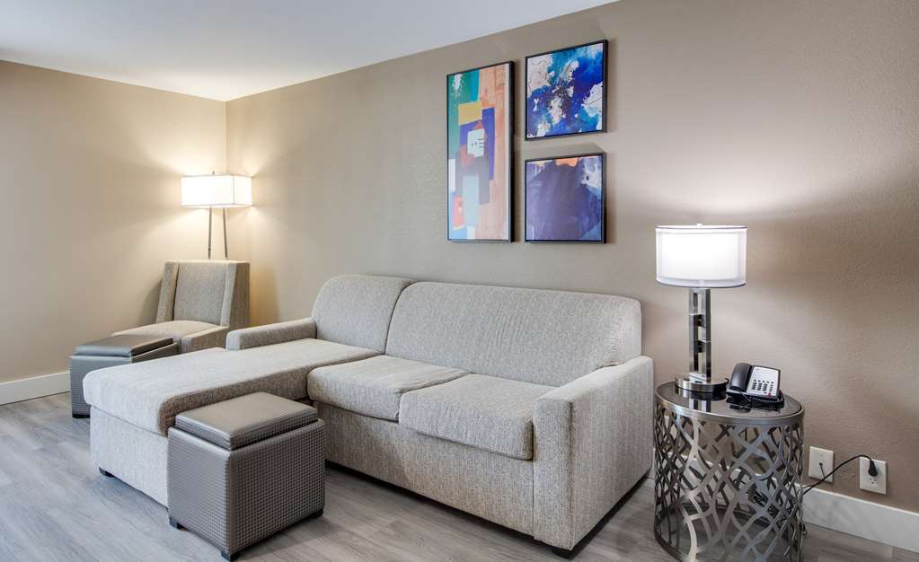 Best Western Plus Greenville I-385 Inn & Suites Rum bild