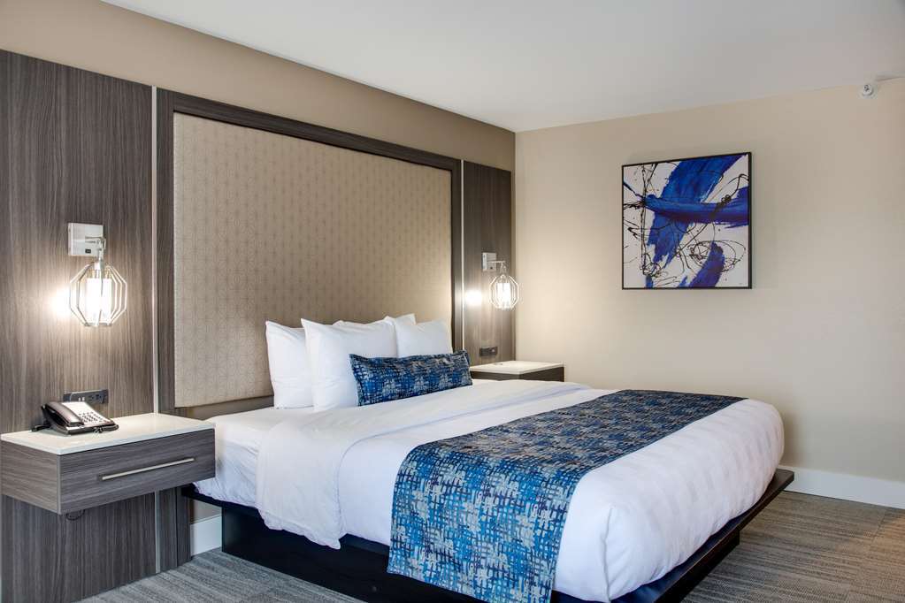 Best Western Plus Greenville I-385 Inn & Suites Rum bild