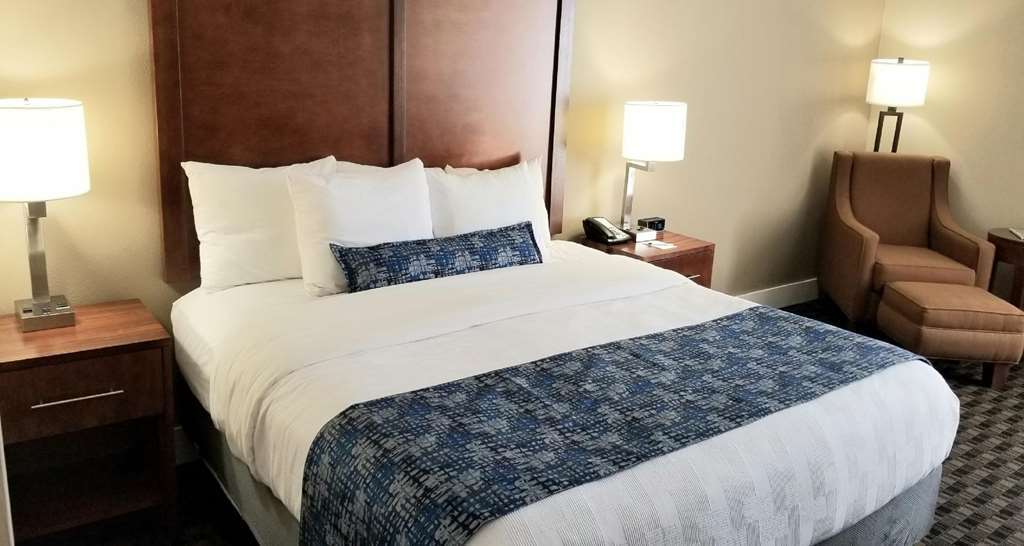 Best Western Plus Greenville I-385 Inn & Suites Rum bild