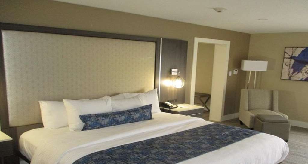 Best Western Plus Greenville I-385 Inn & Suites Rum bild